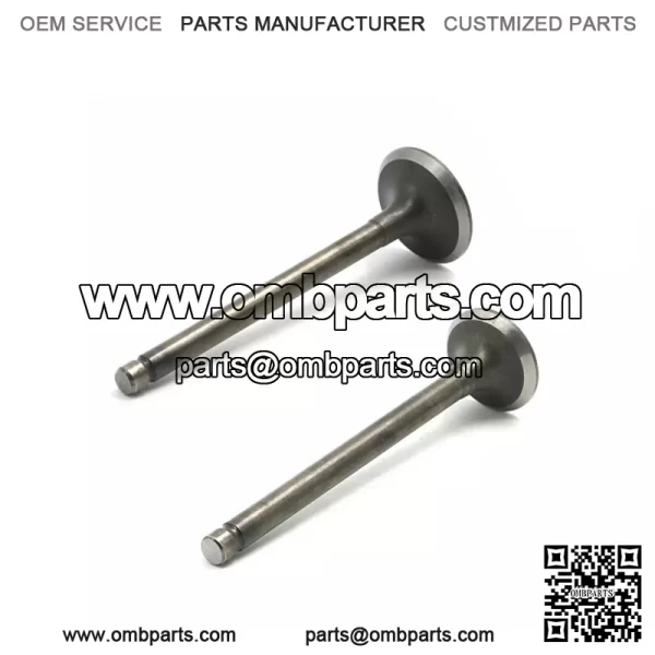 HONDA XR75 XL75 XR80 XR80R XR100R SHIN NIPPON INTAKE & EXHAUST VALVE SET NEW