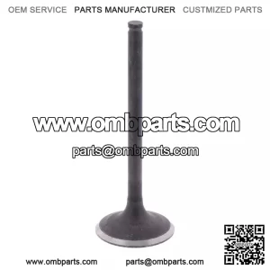 Kawasaki 2008-2017 Klx450r Exhaust Valve OEM New 12005-0044