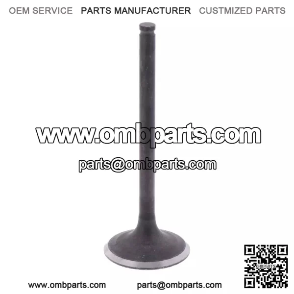 Kawasaki 2008-2017 Klx450r Exhaust Valve OEM New 12005-0044
