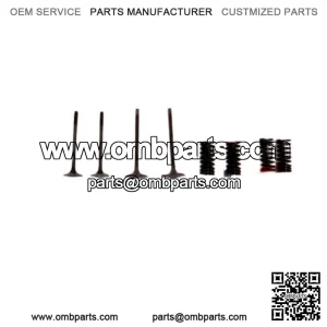 HONDA OEM VALVES & SPRINGS SET (2010-2011) CRF250R