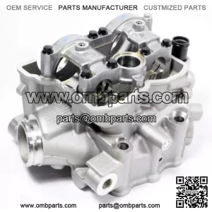 Kawasaki 2009-2010 KX250F Cylinder Head New 11008-0191