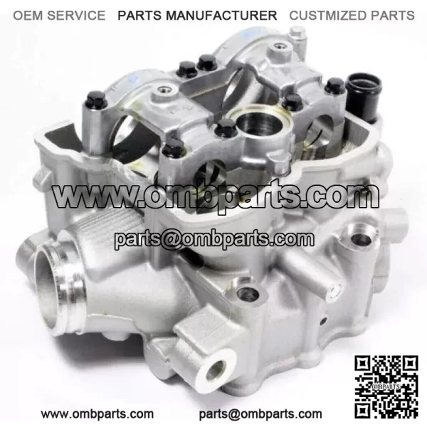 Kawasaki 2009-2010 KX250F Cylinder Head New 11008-0191