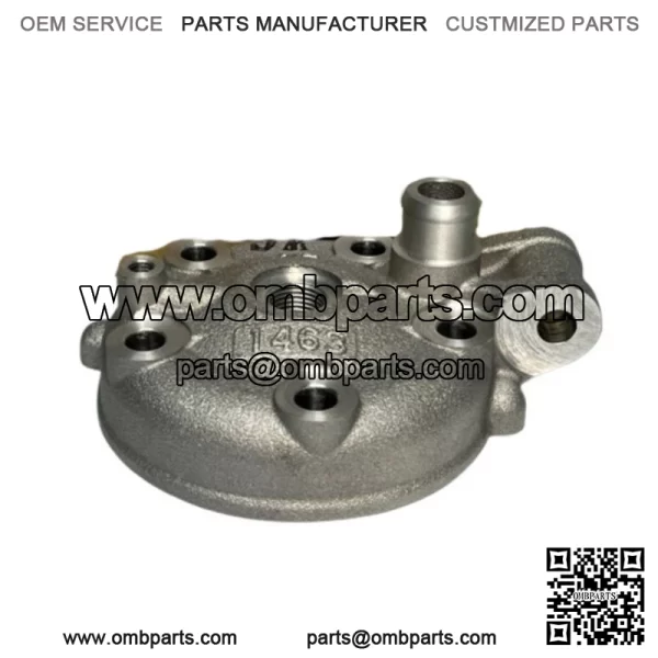 Kawasaki 1998-2013 KX100 Head Cylinder 11001-1463 New