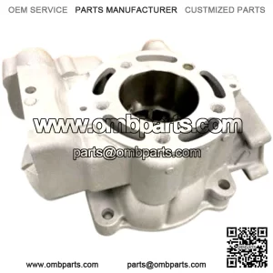 In 2014 - 2021 KAWASAKI KX85 KX 85 Engine Cylinder 11005-0749 New