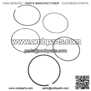 Kawasaki OEM Piston Ring Set New 13008-0015