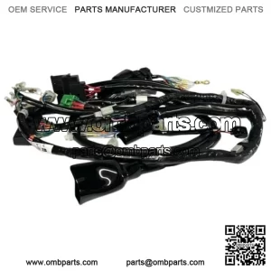 HONDA WIRING WIRE HARNESS 2006 - 2023 RUCKUS NPS50 New 32100-GEZ-610