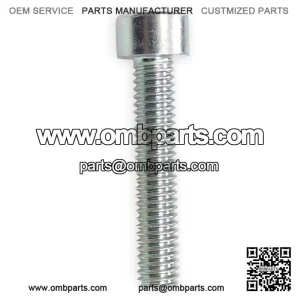 Screw  6x30mm  0205060306H