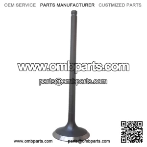 CFMOTO  alve  xhaust  00  00  25  TV  F500  ngine