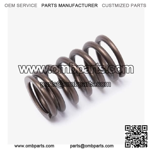 Valve  pring  or  X650-2C-E5  or  oncin  X650-2C,Voge  50DSX  uro    X650-2C-E5
