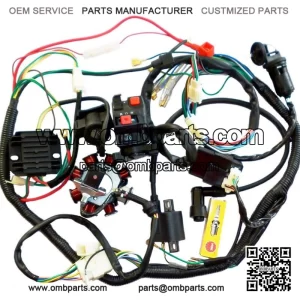ATV  lectric  iring  arness  ire  o  art  50cc  00cc  50CC  ngine  aotao  azuma